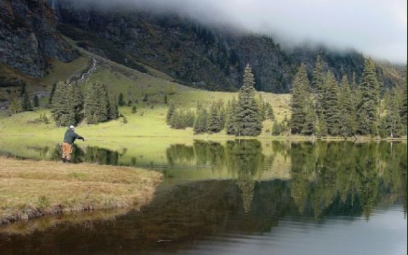 Das Fliegenfischen in diesem "FLY only, ohne Entnahme" Gewässer, ist ein besonderes Erlebnis. Man ist umhüllt von gewaltigen Felswänden und das Wasser ist meist glasklar. Der See ist mit dem Auto sehr gut erreichbar und es befinden sich Almhütten am See die bewirtschaftet sind. Vom 1. Mai bis zum 30. September kann man hier seiner Leidenschaft nachgehen.