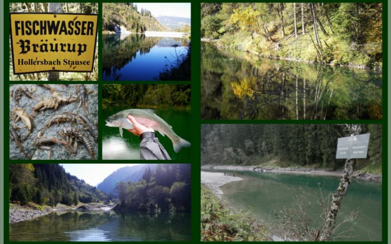 Der Hollersbacher Stausee, am Anfang des Hollersbacher Tals, ist ein künstlich angelegter Stausee mit ca. 3,5 ha. Der See ist ideal zum Fischen mit dem Belly Boat. Das Ufer ist meist dicht bewachsen, es sind jedoch genug Stege für die Angelfischer vorhanden von denen man problemlos fischen kann. Der Ausfang beschränkt sich auf drei Stück täglich. Die Fischerei ist hier das ganze Jahr erlaubt.