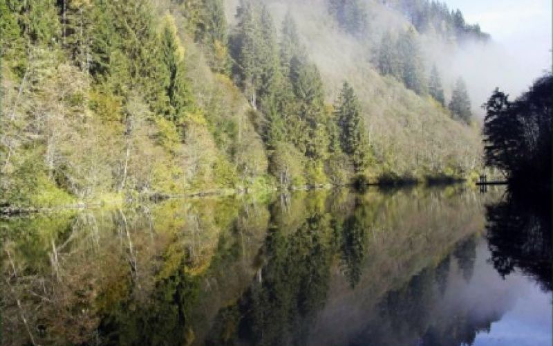 Der Einlauf und die Staumauer sind nur für Fliegenfischer befischbar und sehr gut begehbar, Der See ist problemlos mit dem Auto erreichbar. Direkt am See befindet sich ein Restaurant.