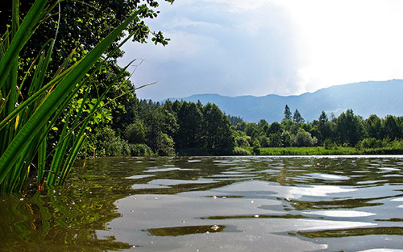 Der Ritzensee ist ein künstlich angelegter Badesee, der durch die Errichtung eines Dammes um 1954 entstand. Ursprünglich befanden sich auf dem heutigen Seegelände saure Wiesen. Dies erklärt auch den moorigen Charakter des Sees. Die Größe beträgt ca. 5,8 ha, die Maximaltiefe liegt bei ca. 6 Meter. Durch die geringe Tiefe werden im Sommer Wassertemperaturen bis zu 27 Grad erreicht und der See friert im Herbst relativ rasch zu.