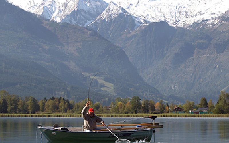 © Hauer-naturfoto.at