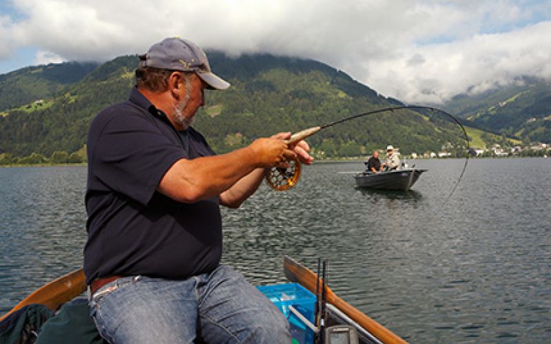 © Hauer-naturfoto.at